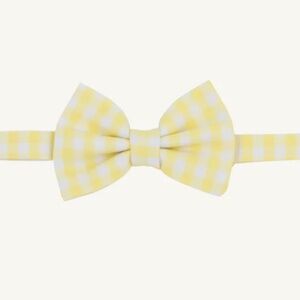 Baylor Bowtie - Lake Worth Yellow Gingham